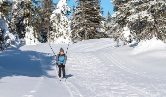 Zillertal beste Langlaufloipen