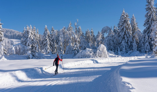 Langlauf Vorarlberg Loipen