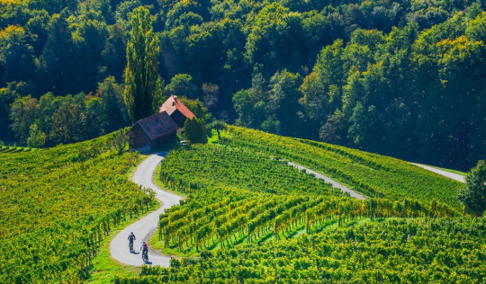 Schönste Radtouren Toskana Radfahren