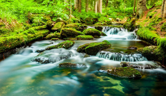 Bayerischer Wald - Die schönsten Wanderungen