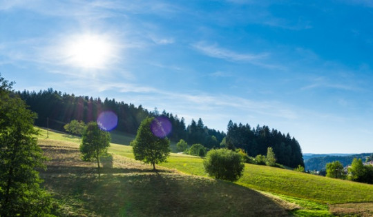 schwarzwald-wanderungen-teaser