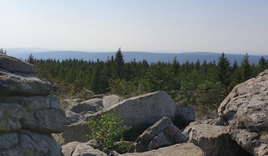 Fichtelgebirge - Wandern: Die schönsten Wanderungen