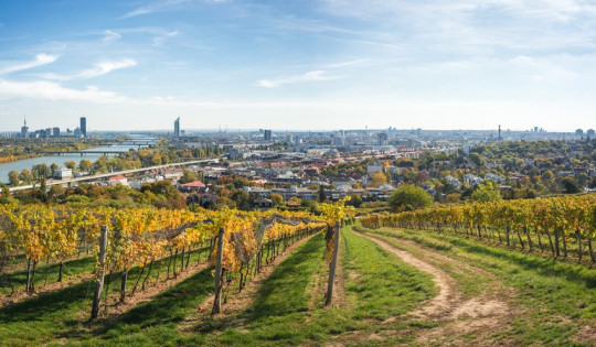 Wien - Die schönsten Wanderungen