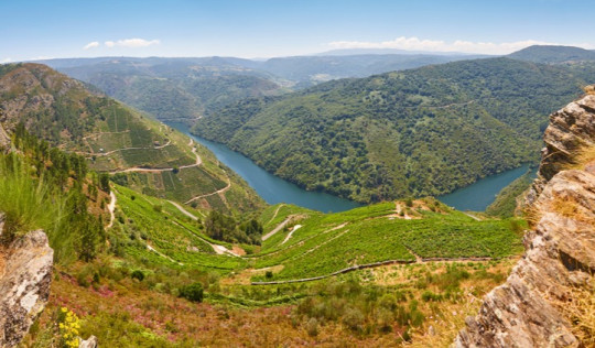 Weinregionen in Spanien