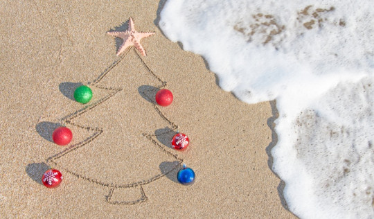 christmas-tree-beach-hero