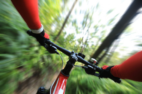 Die 10 schönsten Mountainbike-Touren im Schwarzwald