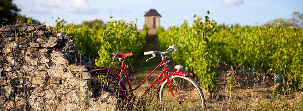 Burgund Radfahren