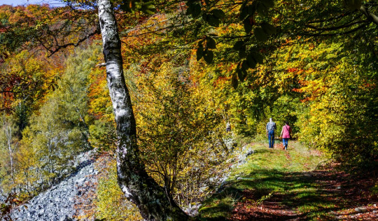 Hunsrück schönste Wanderungen