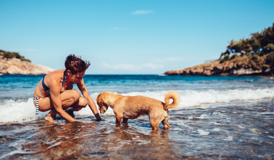 Schönste Hundestrände Griechenland