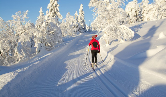 Langlauf Arlberg Loipen