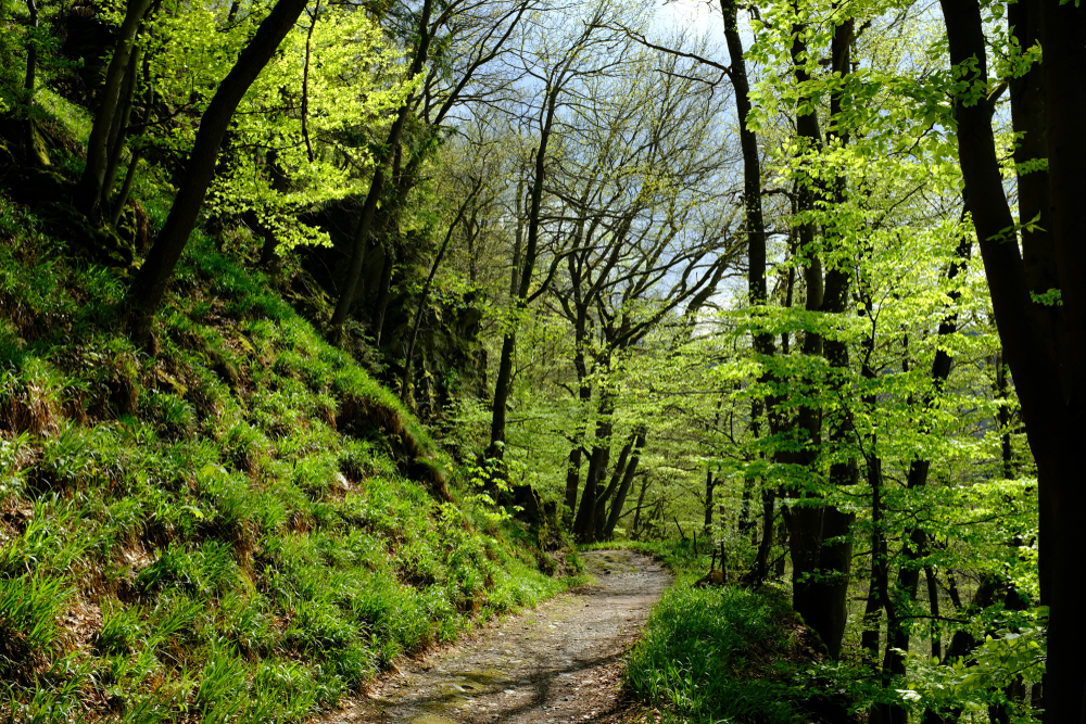 Eifel