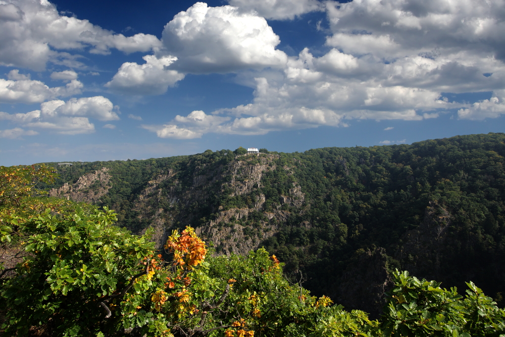 Harz