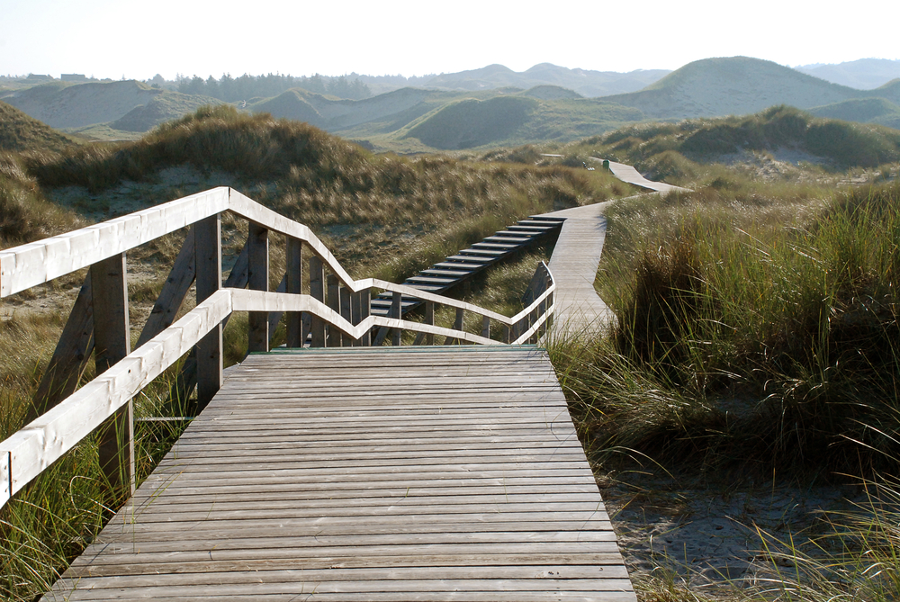 Amrum