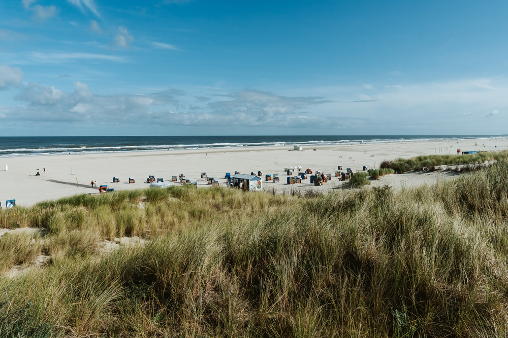 Juist