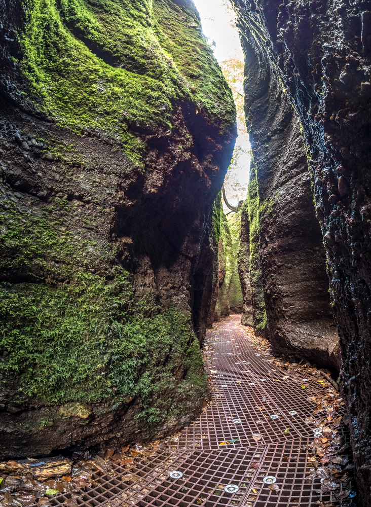 Wandern durch die Drachenschlucht bei Eisenach