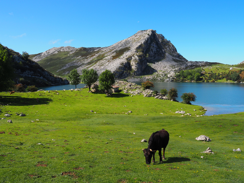 Lago Enol