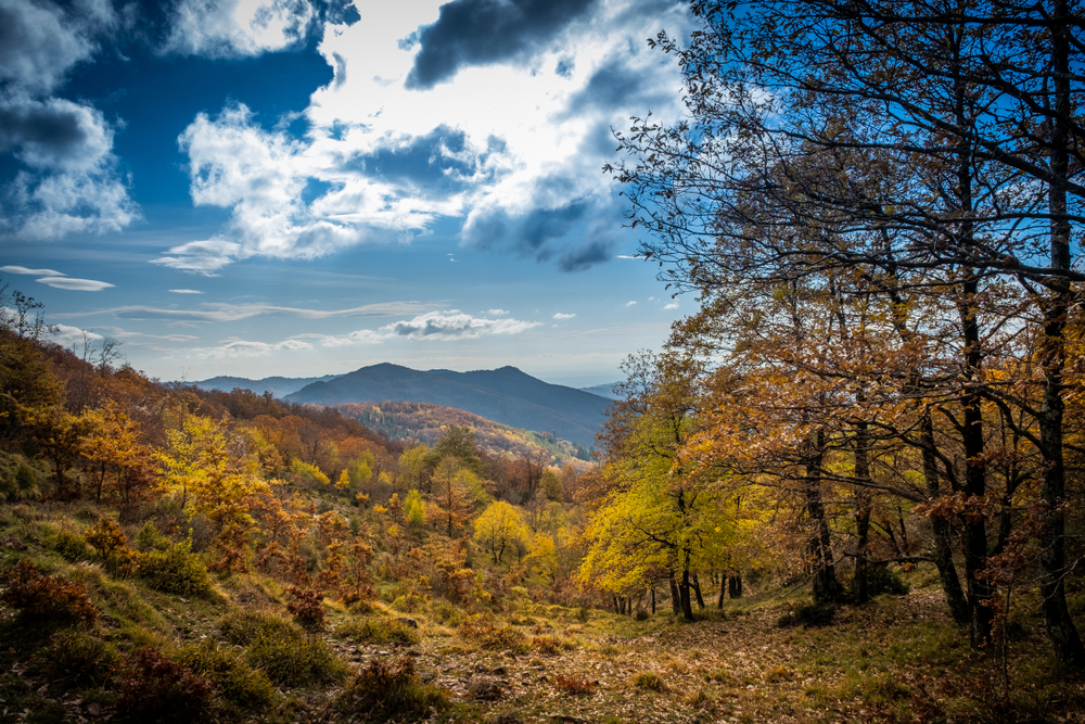 Croce Veglia