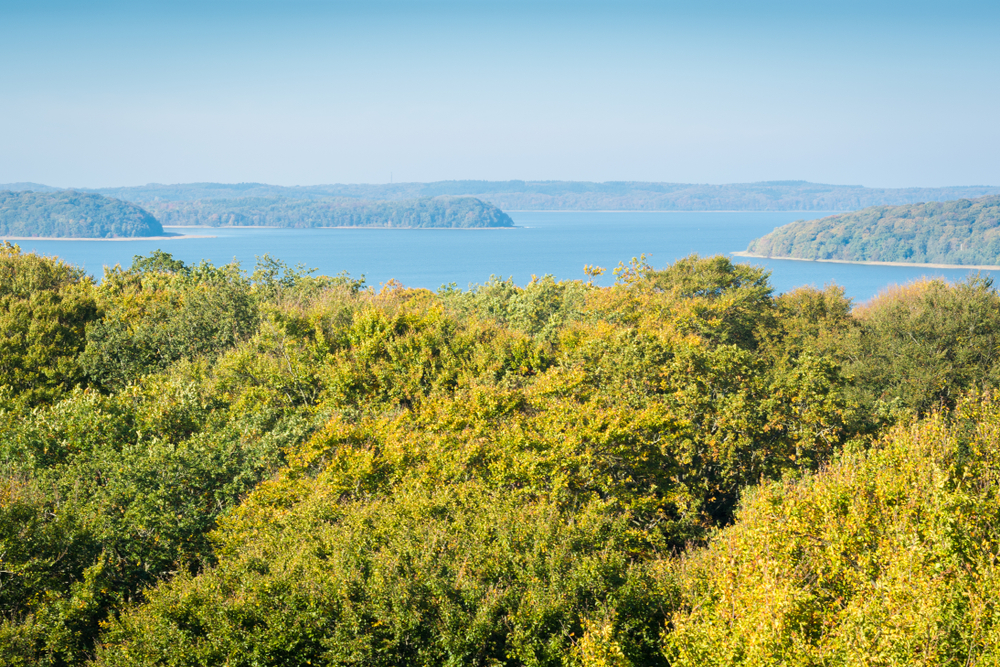 Rügen