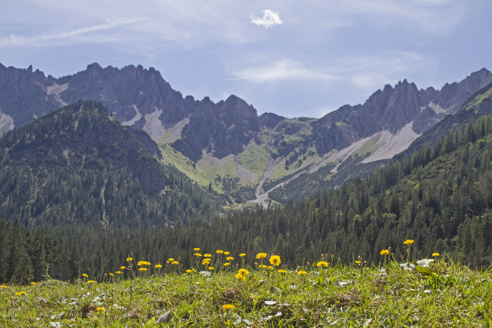 Eppzirler Alm