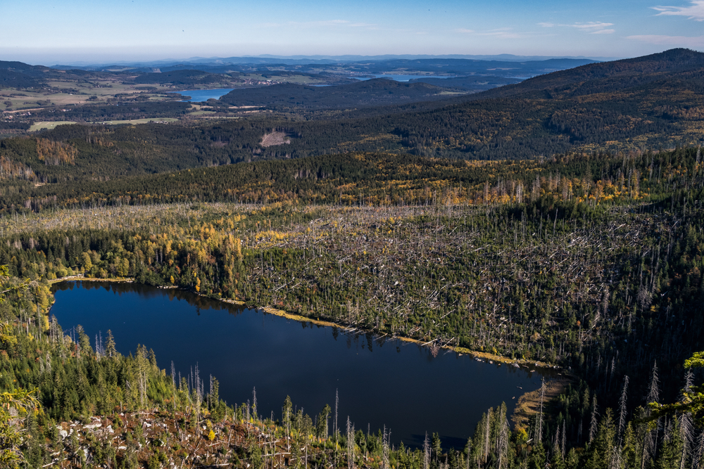 Plešné jezero