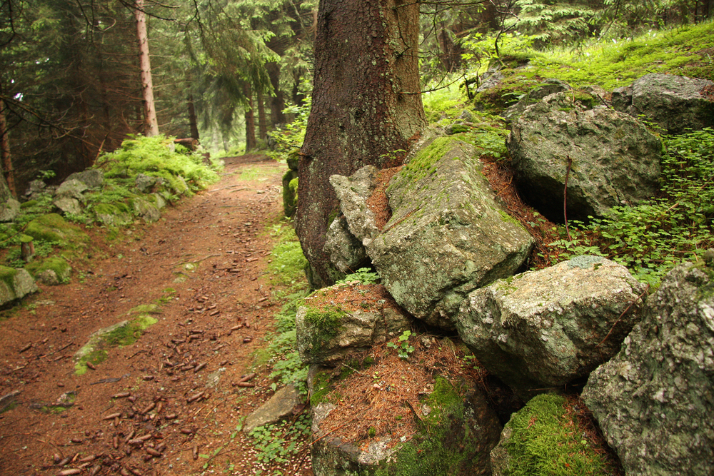 Sumava