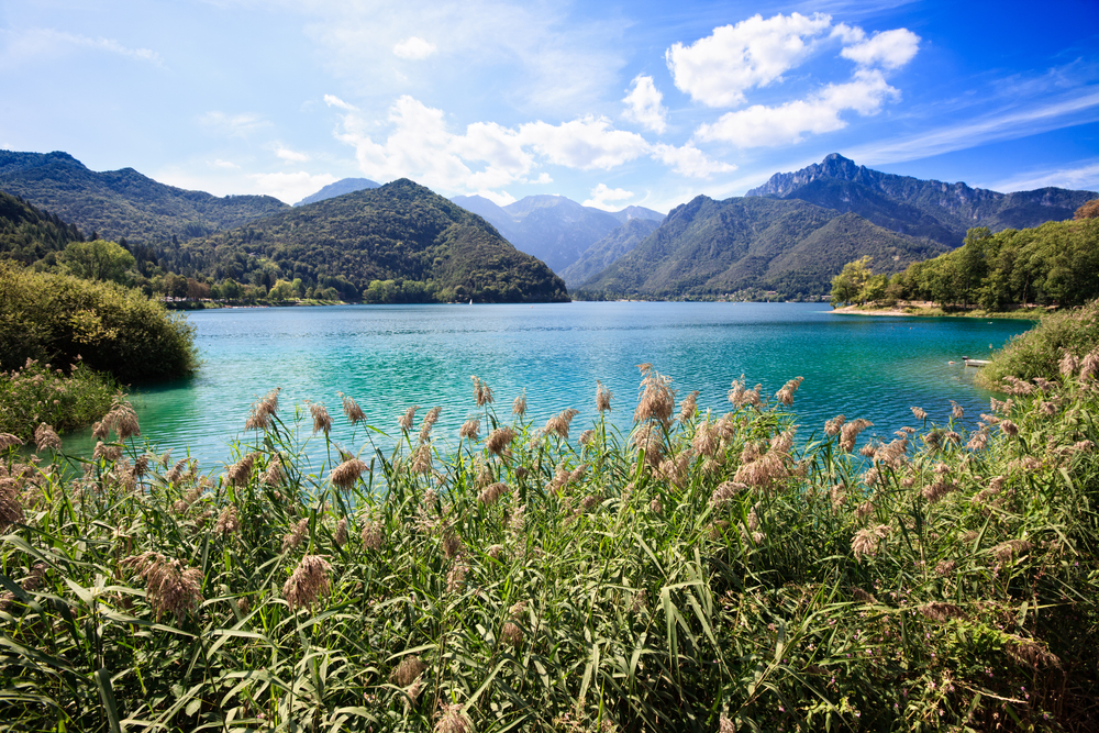 Ledro
