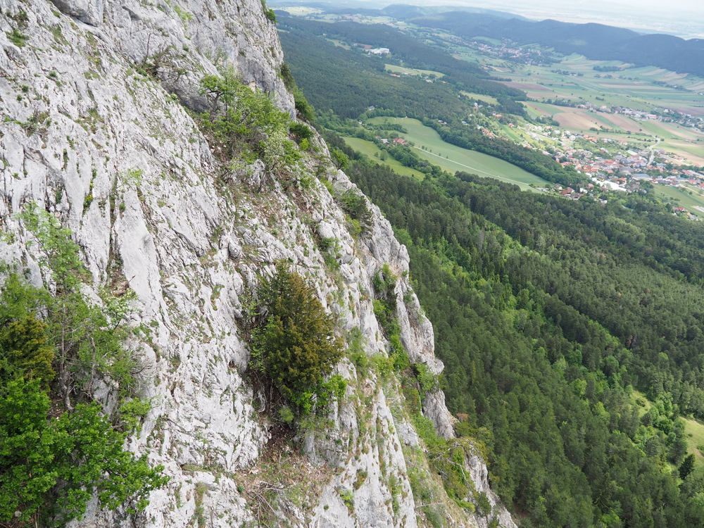 Hohe Wand