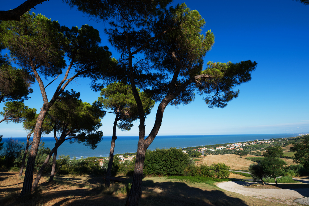 Pineto wandern