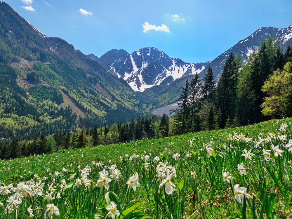 Hochtsuhl Wanderung Veliki Stol Bärental