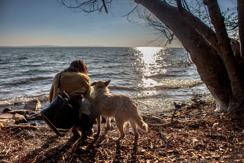 Tihany Hundestrand