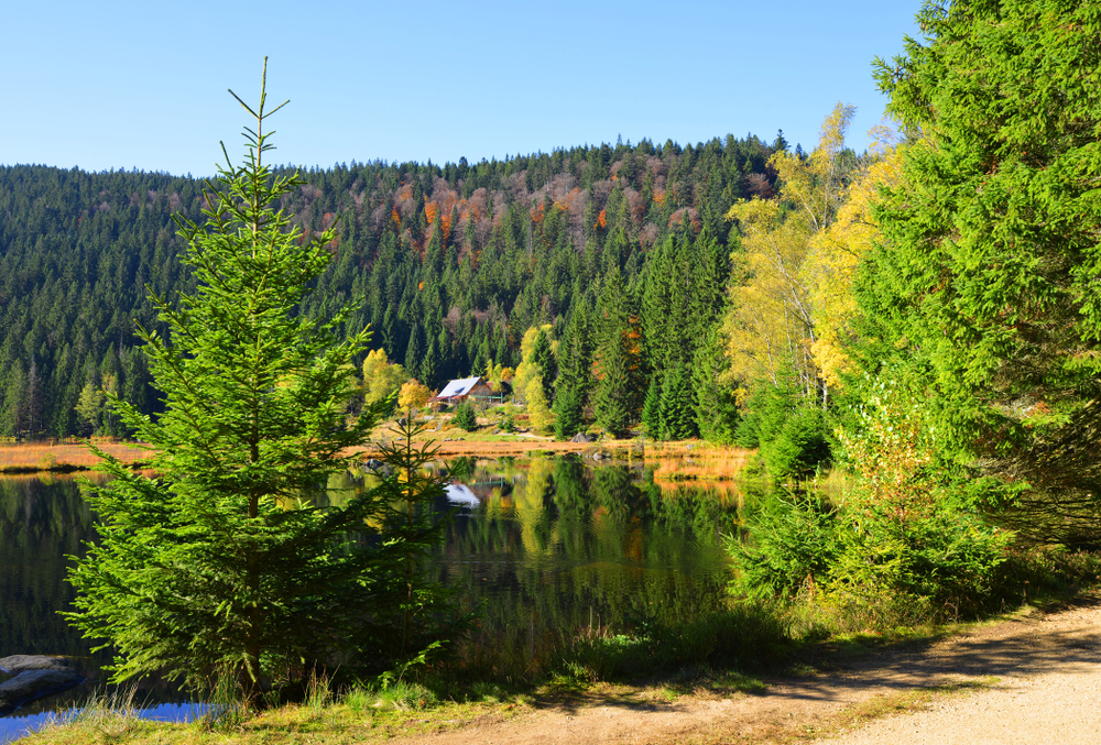 Bayerischer Wald Arbersee
