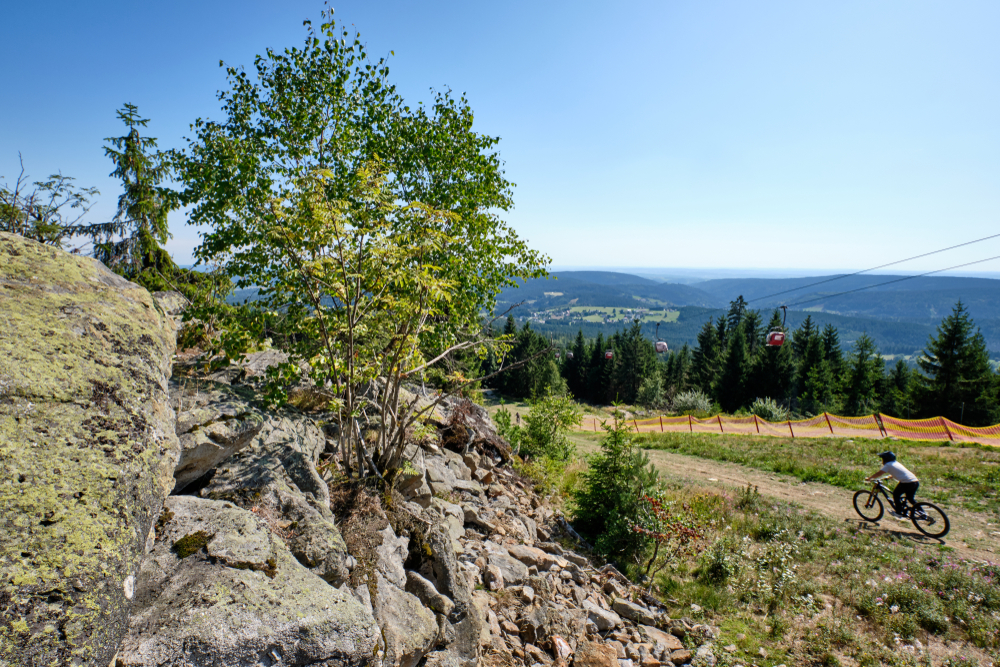 Ochsenkopf Mountainbike Trail