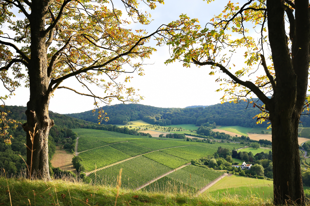 Castell Franken Wanderung