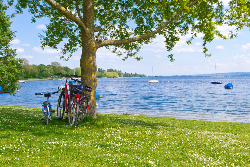 Bodensee - Pause am Radweg