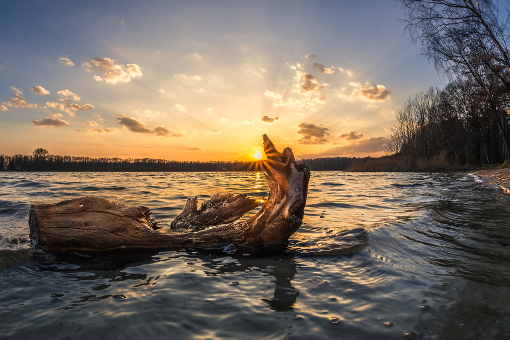 Gorinsee