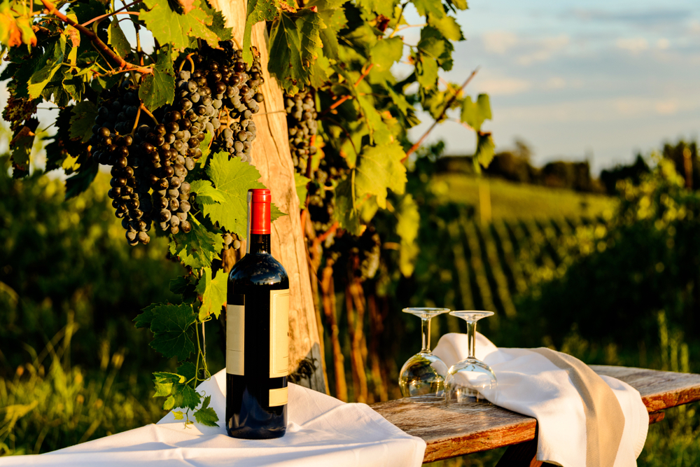 Chianti Weinanbaugebiet