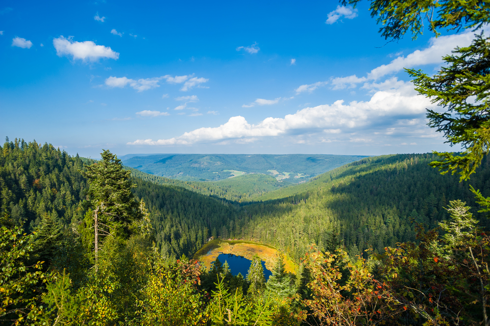 Nationalpark Schwarzwald