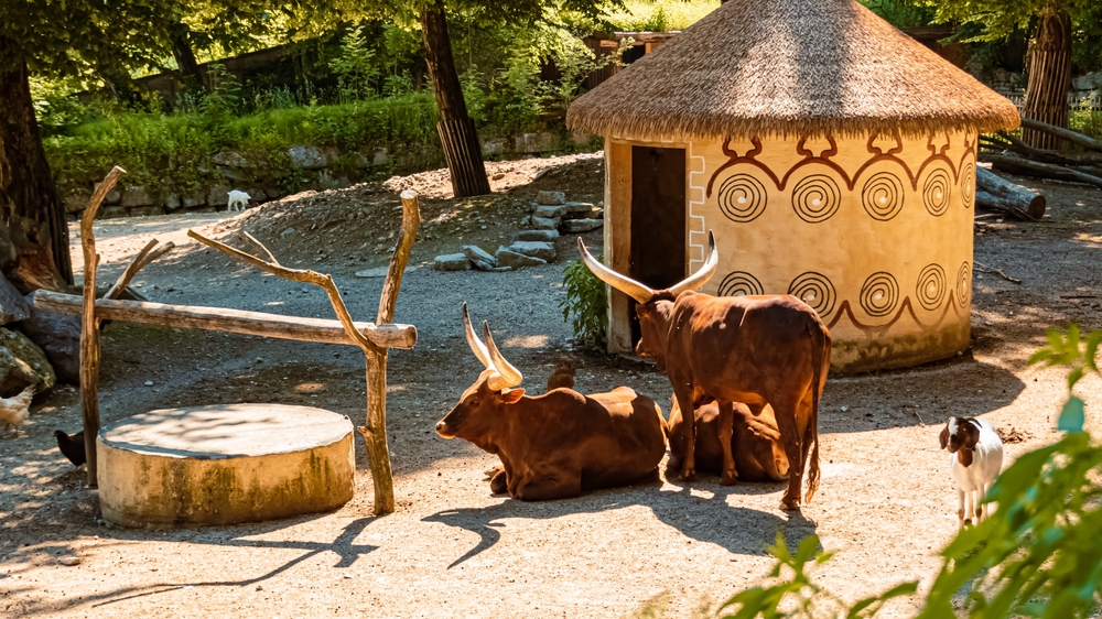 Deutschland Zoo Gelsenkirchen