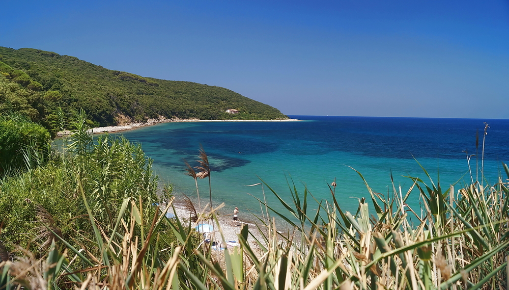 Frugoso Hundestrand Cavo