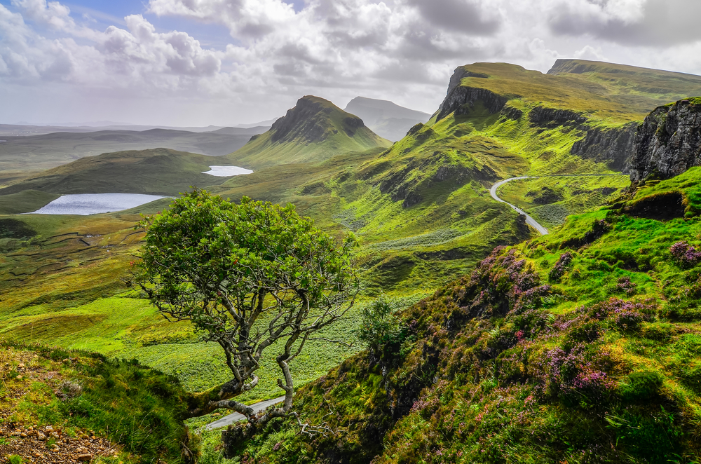 Highlands