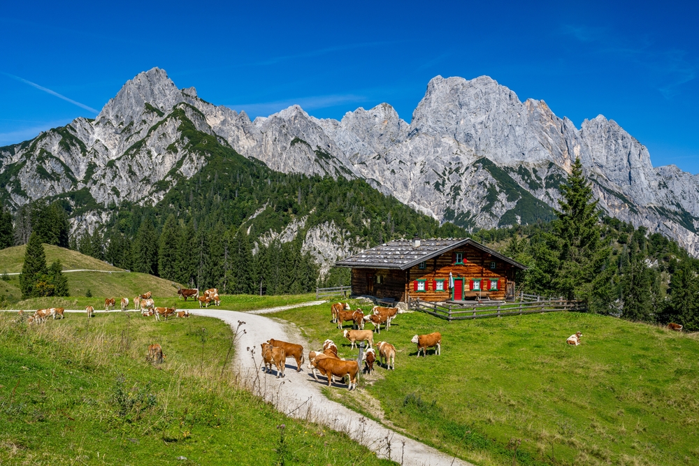 Ferienhaus Salzburger Land