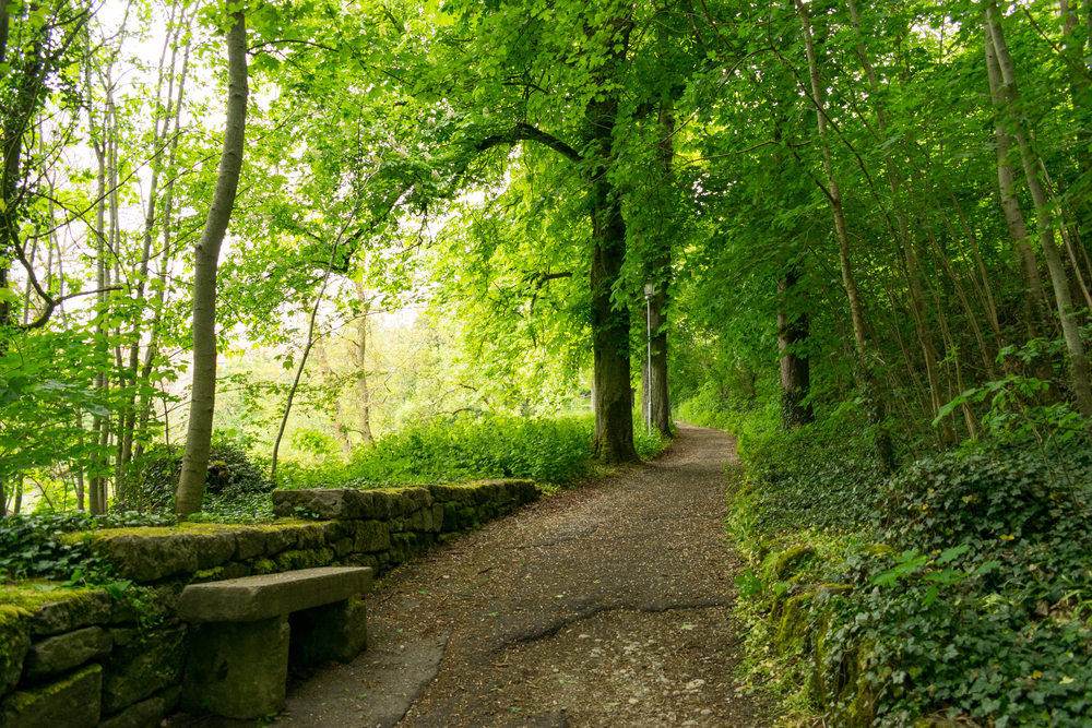 Wanderweg Taubertal