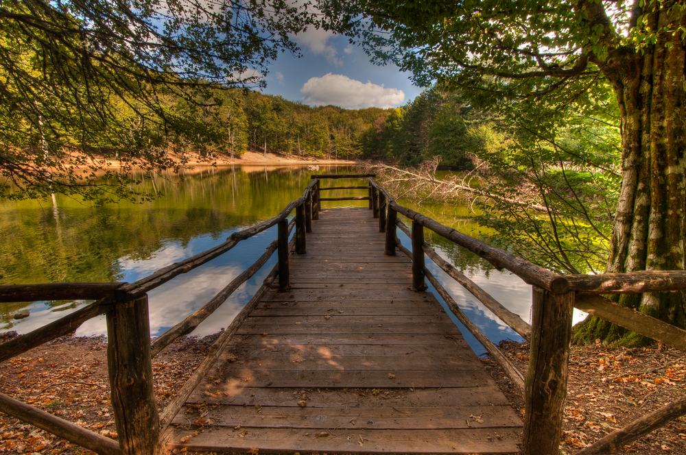 Foresta Umbra Gargano