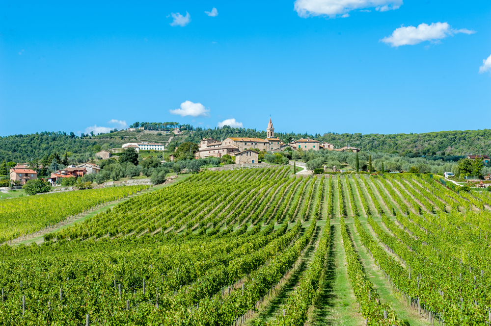 Bester Chianti