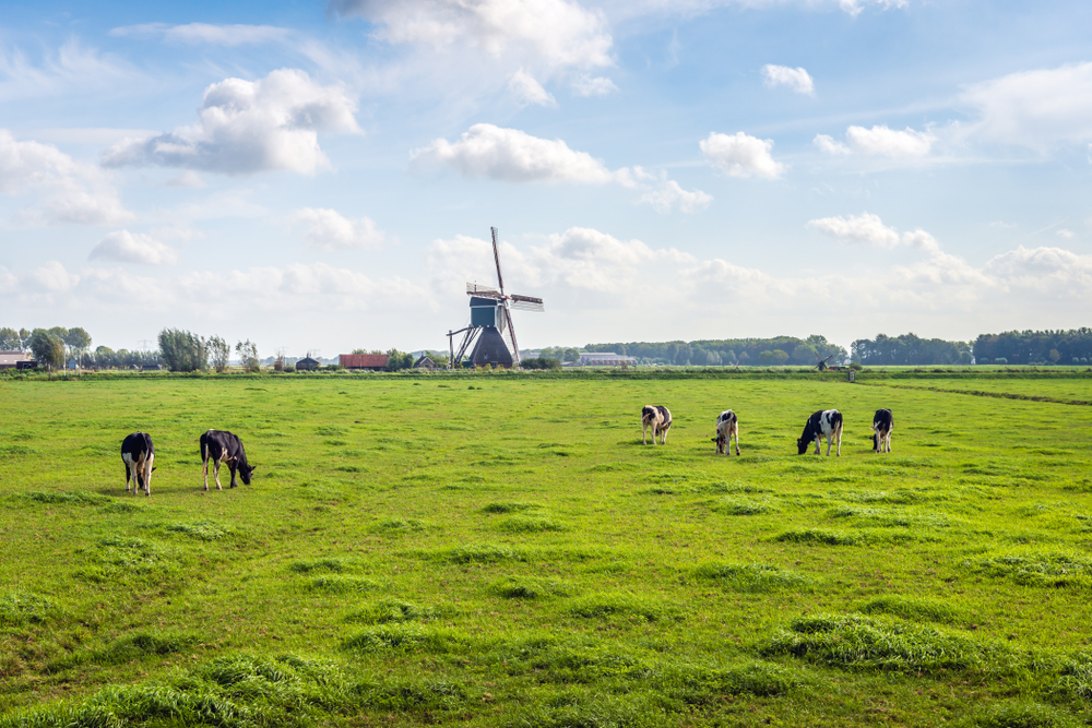 Holland Radwege: Dünen- und Deichroute