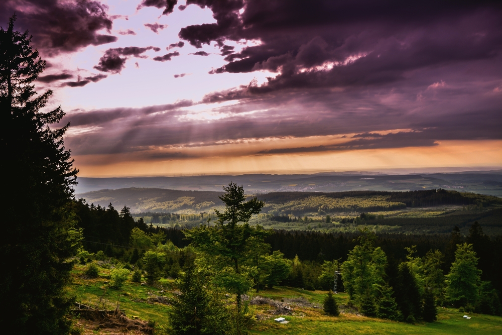 Wanderung Erbeskopf