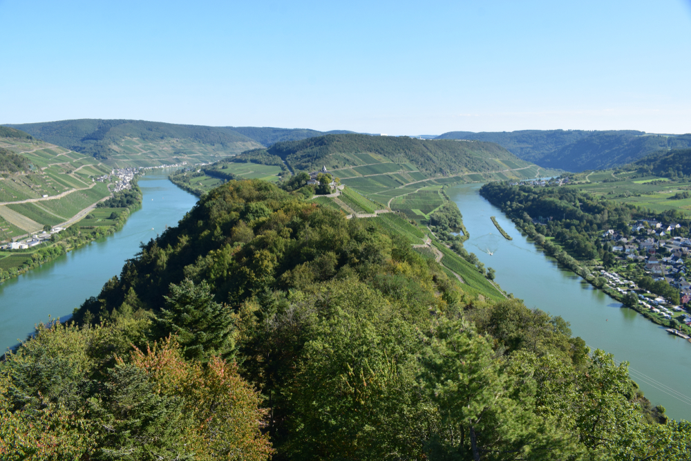 Moselschleife wandern