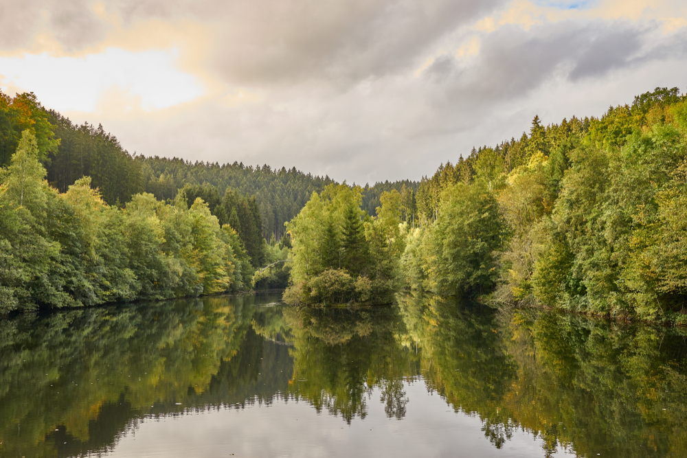 Talsperre Nonnweiler Wanderung
