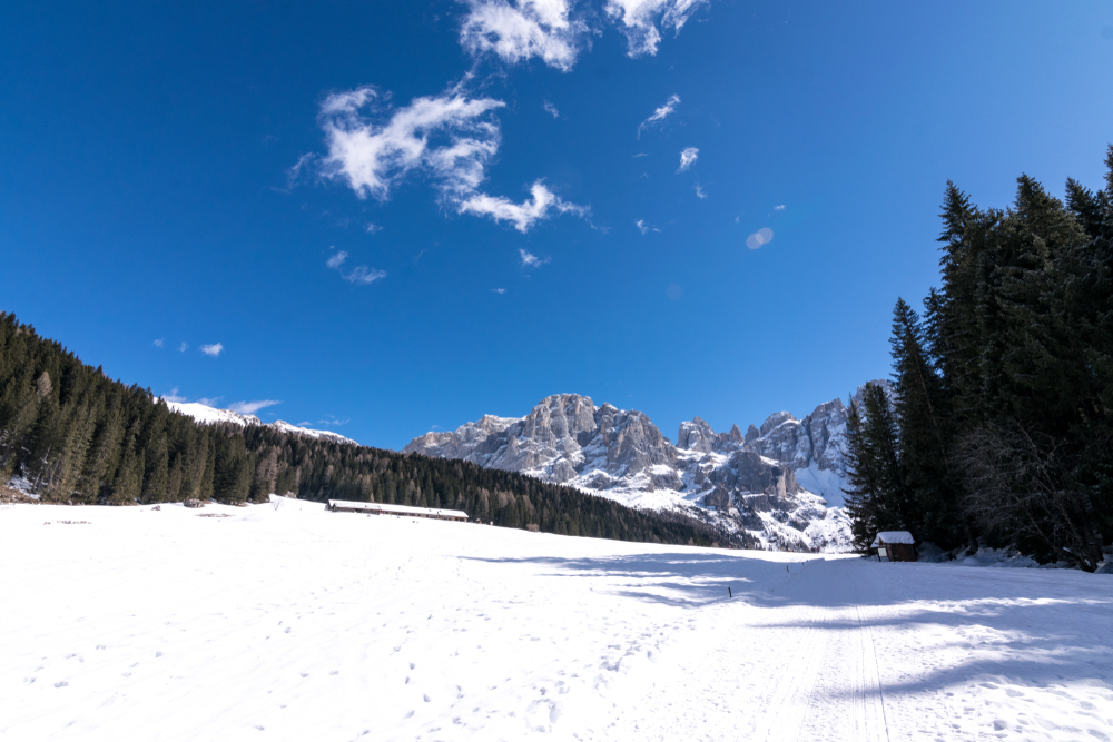 Loipe Val di Fiemme Langlauf