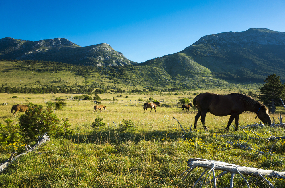 Paklenica Nationalpark Velebit